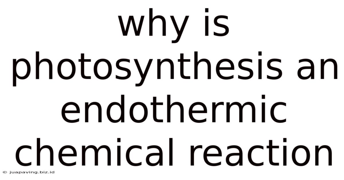 Why Is Photosynthesis An Endothermic Chemical Reaction