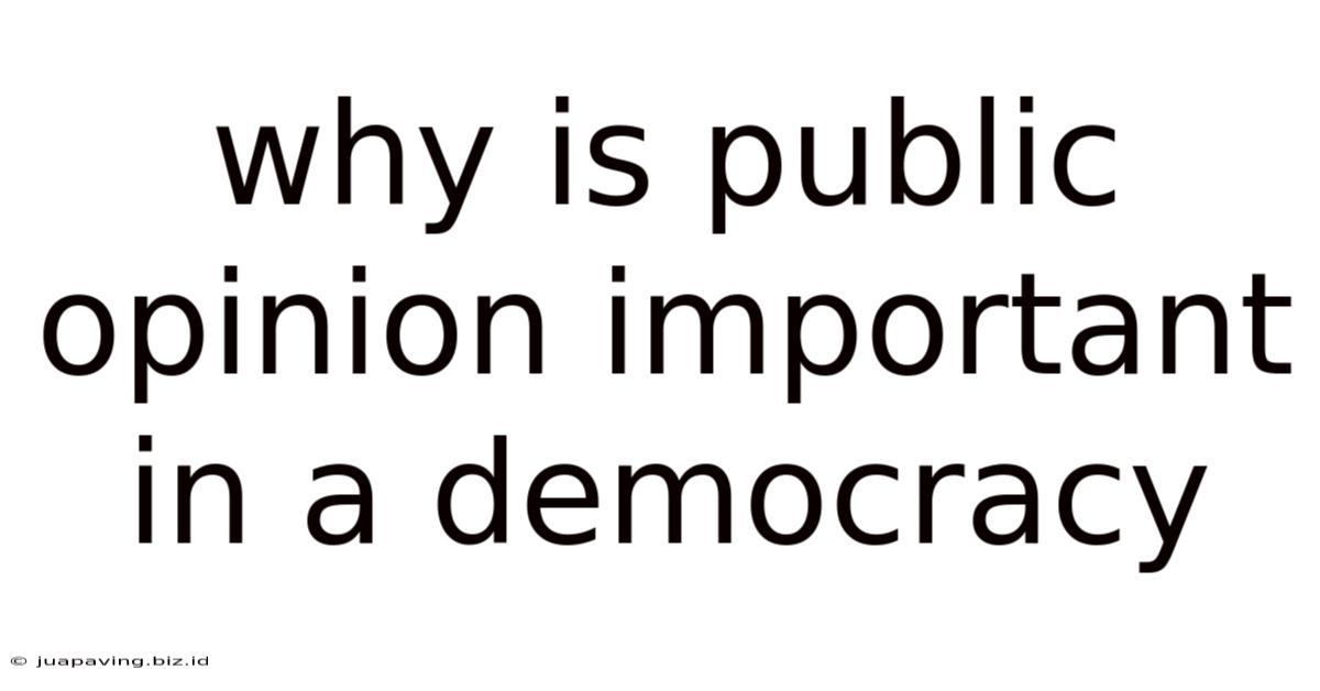 Why Is Public Opinion Important In A Democracy