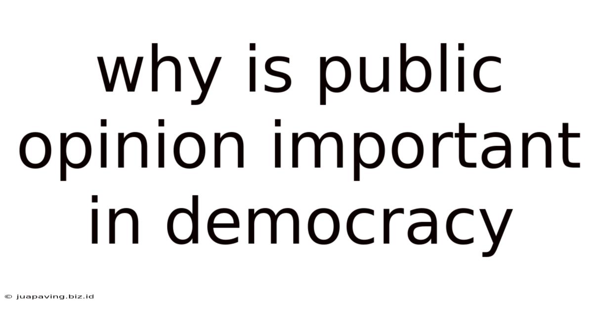 Why Is Public Opinion Important In Democracy