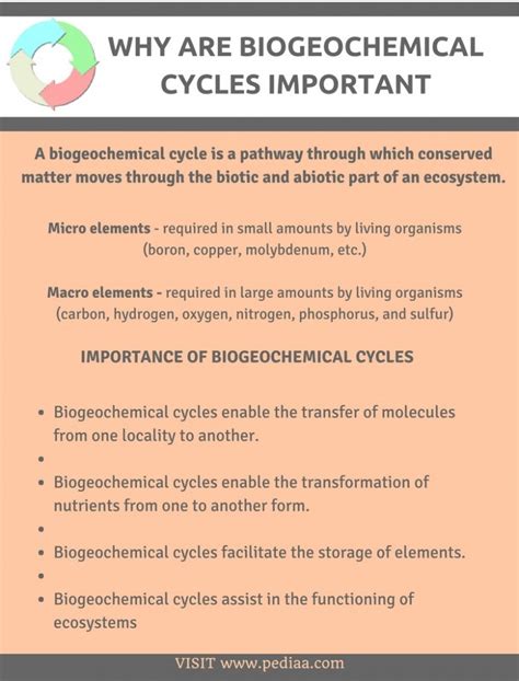 Why Is The Biogeochemical Cycle Important