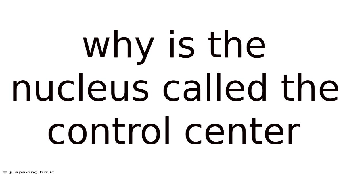 Why Is The Nucleus Called The Control Center