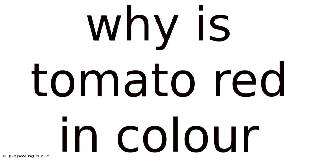 Why Is Tomato Red In Colour
