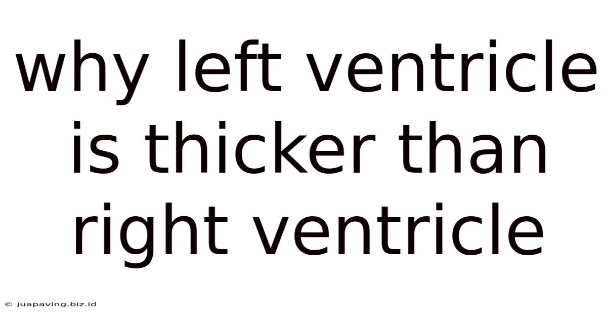 Why Left Ventricle Is Thicker Than Right Ventricle