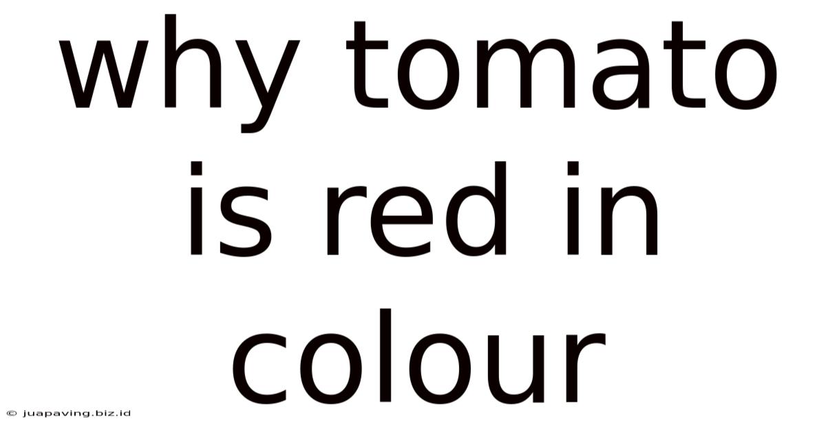 Why Tomato Is Red In Colour