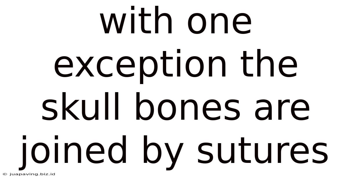 With One Exception The Skull Bones Are Joined By Sutures