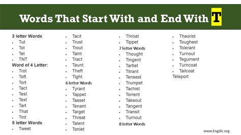 Words That Start With T And End With T