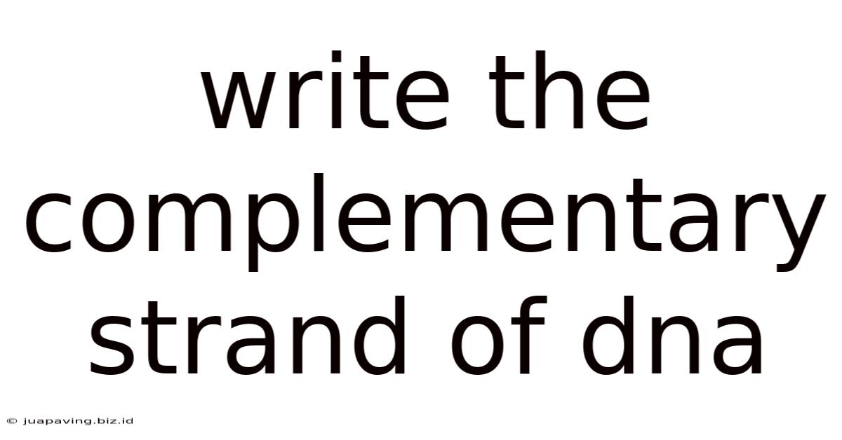 Write The Complementary Strand Of Dna
