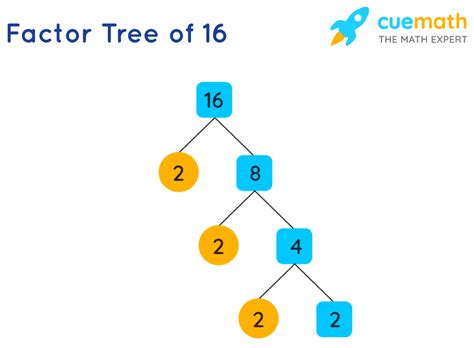 Write The Prime Factorization Of 16