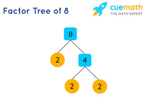 Write The Prime Factorization Of 8