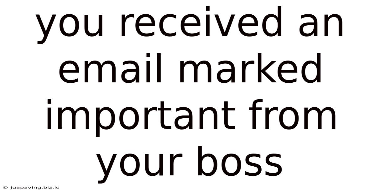 You Received An Email Marked Important From Your Boss