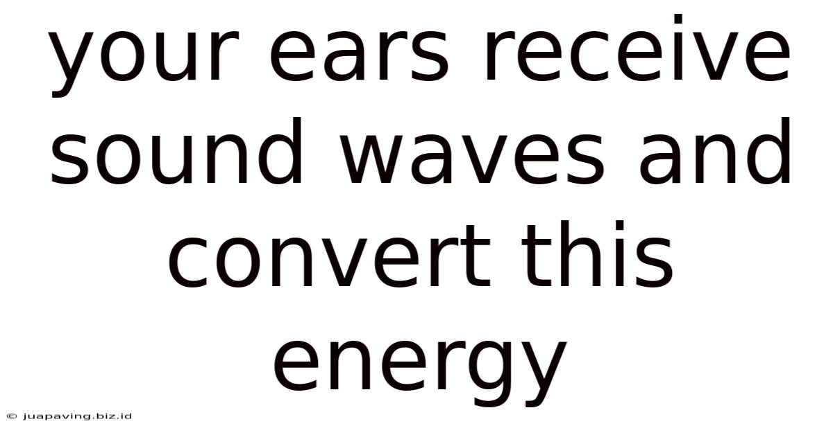 Your Ears Receive Sound Waves And Convert This Energy