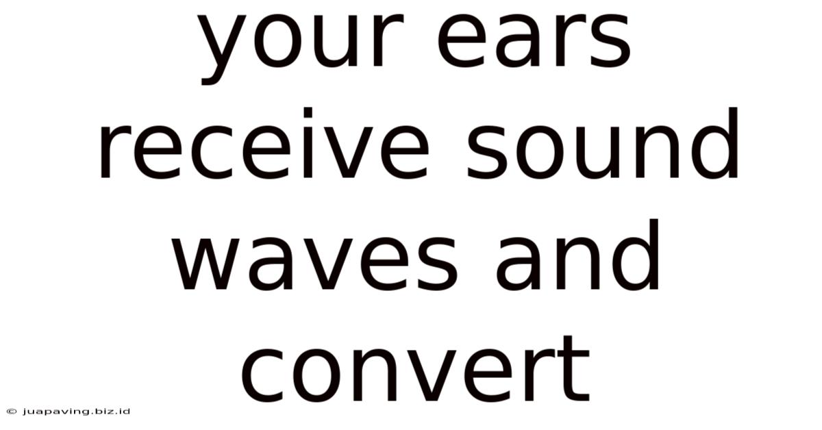 Your Ears Receive Sound Waves And Convert